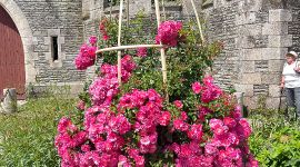 sejour06 206